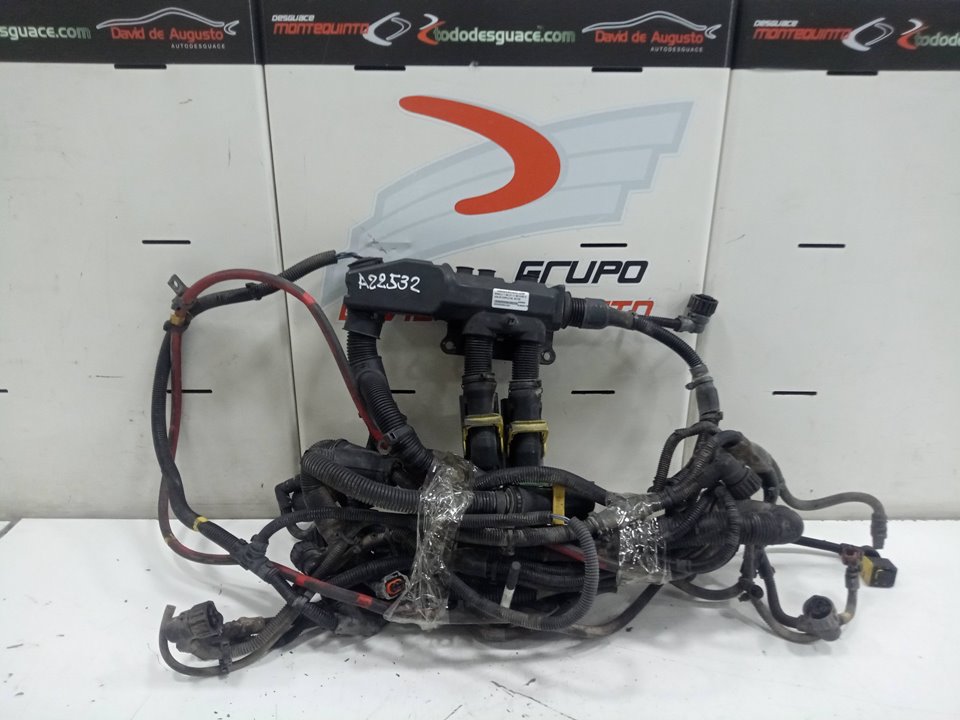 CABLES COMPLETOS  MOTOR RENAULT T 460 DTI 11 460 EURO VI