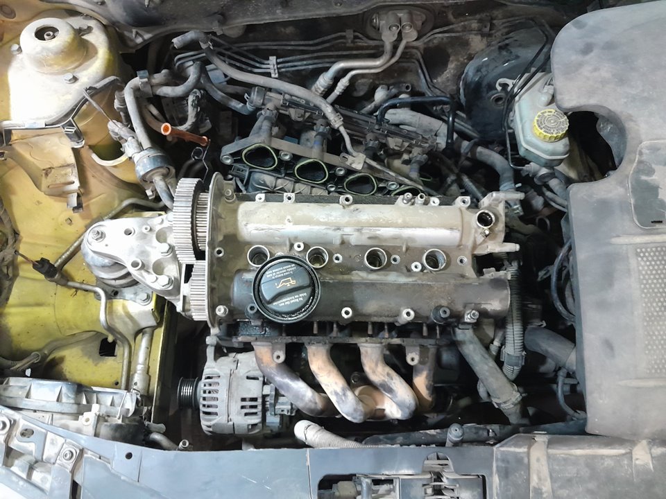 SEAT IBIZA (6L1) Cool Motor 1,4 Ltr. - 55 kW 16V