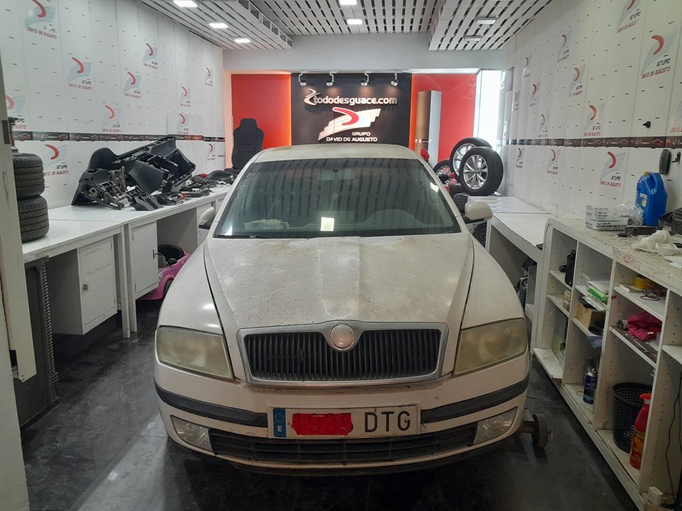 SKODA OCTAVIA BERLINA (1Z3) Active Motor 1,9 Ltr. - 77 kW TDI DPF