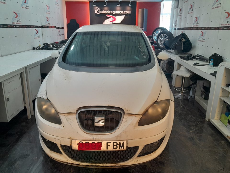 SEAT ALTEA (5P1) Green Motor 1,9 Ltr. - 77 kW TDI