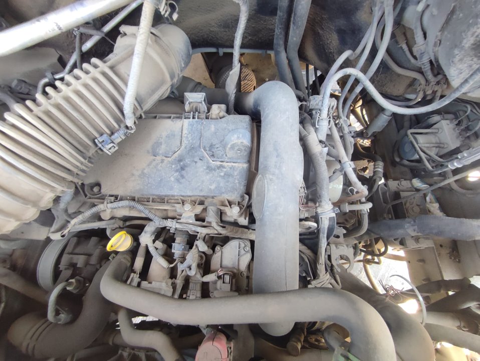 RENAULT MASTER BUS L3H2 3,8t Motor 2,3 Ltr. - 92 kW dCi Diesel CAT
