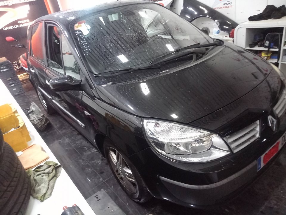 RENAULT MEGANE SCENIC (JM) 1.9 DCI 1.9 dci