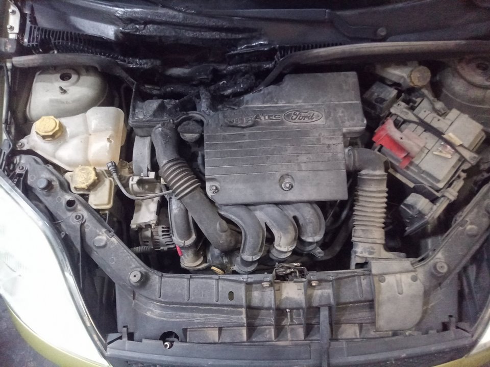 FORD FIESTA (CBK) Ambiente Motor 1,4 Ltr. - 59 kW 16V CAT