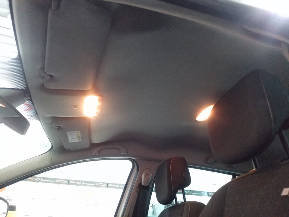 LUZ INTERIOR RENAULT MEGANE III SPORT TOURER Intens