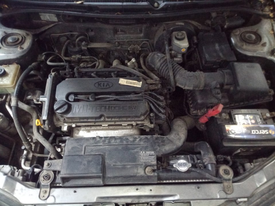 KIA SEPHIA LL Básico Motor 1,6 Ltr. - 75 kW CAT