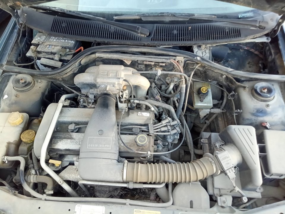 FORD ESCORT BERL./TURNIER Básico Berlina Motor 1,6 Ltr. - 65 kW 16V CAT