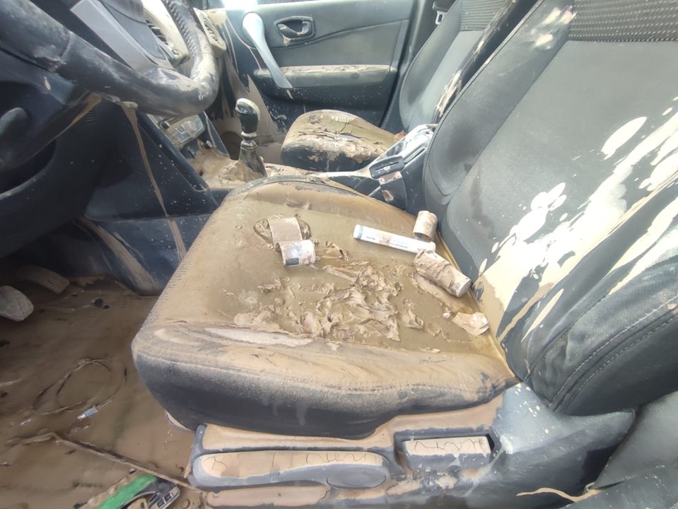 RENAULT KOLEOS Expression Motor 2,0 Ltr. - 110 kW dCi Diesel FAP