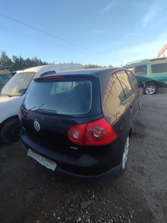 VOLKSWAGEN GOLF V BERLINA (1K1) Conceptline (E) Motor 1,9 Ltr. - 77 kW TDI