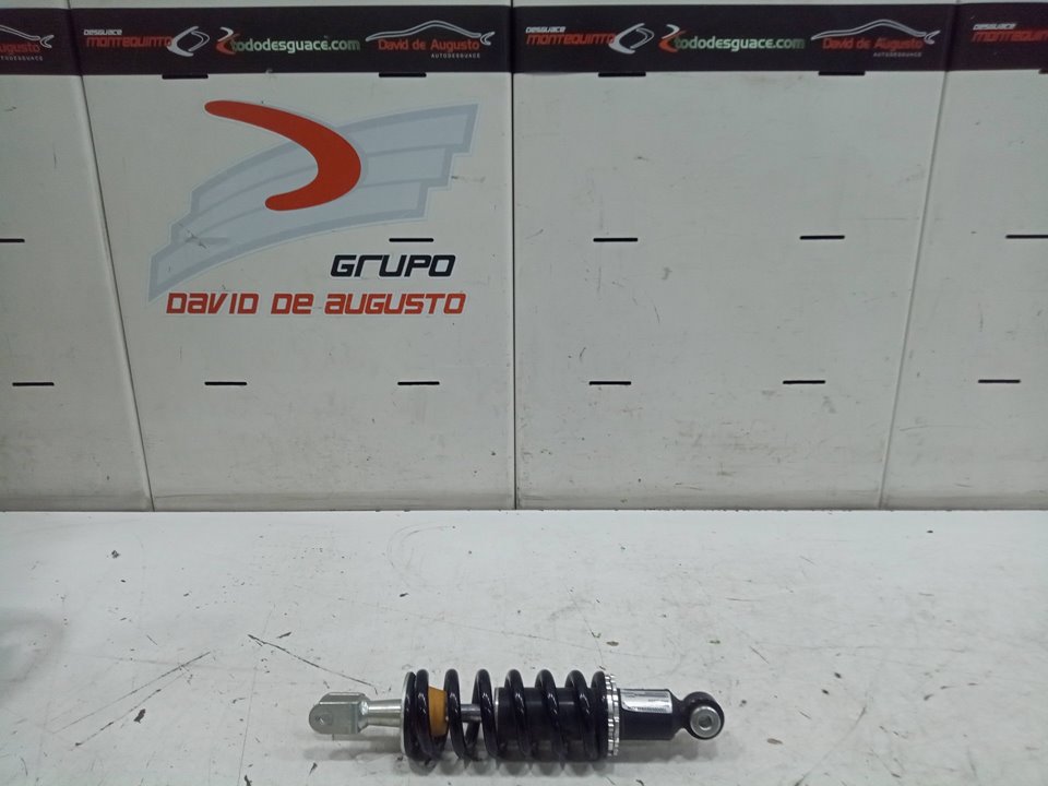 AMORTIGUADOR SCUTUM SILENCE S02/ 10 / 4    |   01.21 - 12.21
