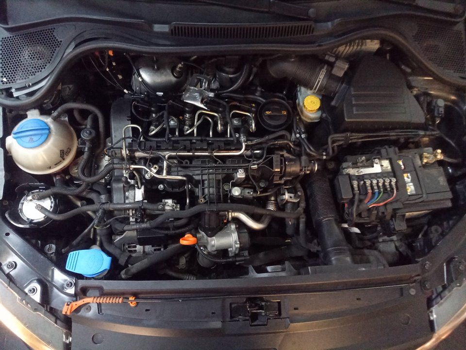 VOLKSWAGEN POLO (6R1) Advance Motor 1,6 Ltr. - 55 kW TDI