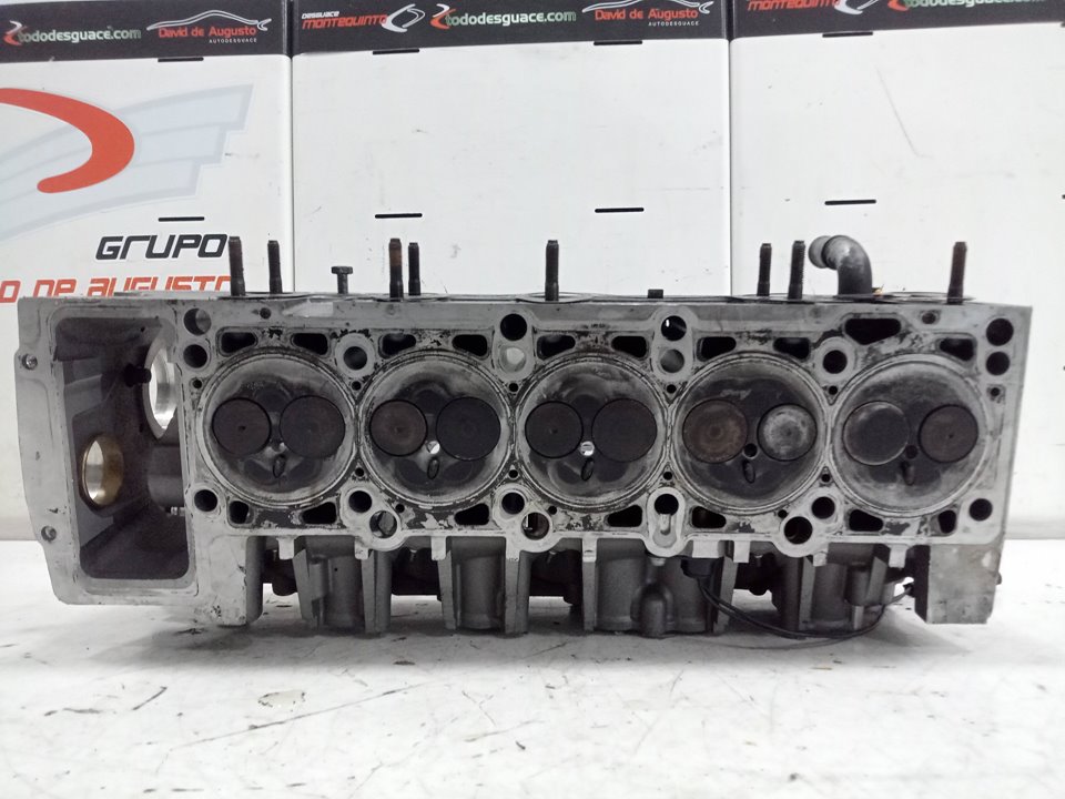 CULATA VOLKSWAGEN TOUAREG (7LA) TDI R5   |   06.06 - ...