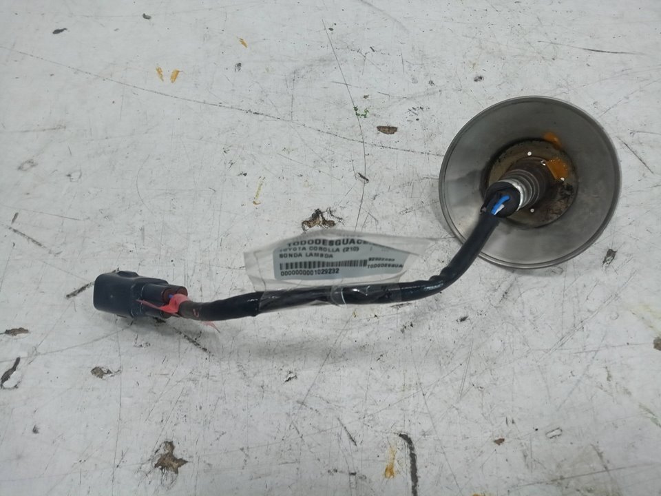 SONDA LAMBDA foto 2