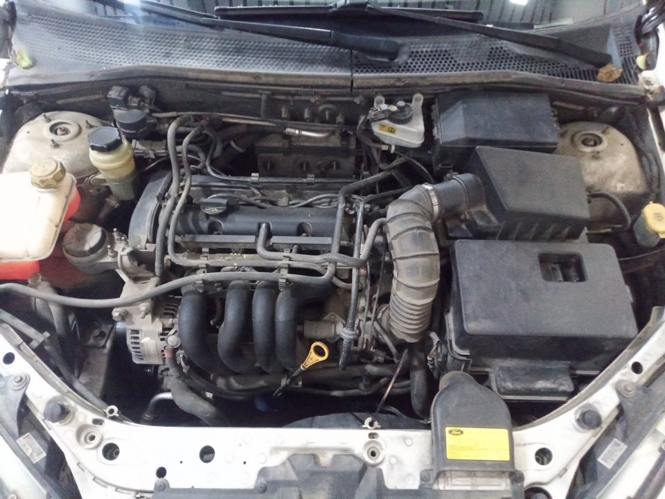 FORD FOCUS BERLINA (CAK) Ambiente Motor 1,6 Ltr. - 74 kW 16V CAT