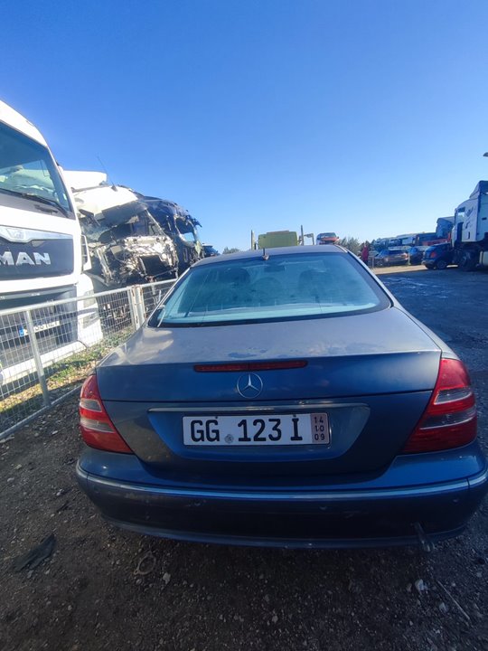 PORTON TRASERO MERCEDES-BENZ CLASE E (W211) BERLINA E 320 CDI (211.022)