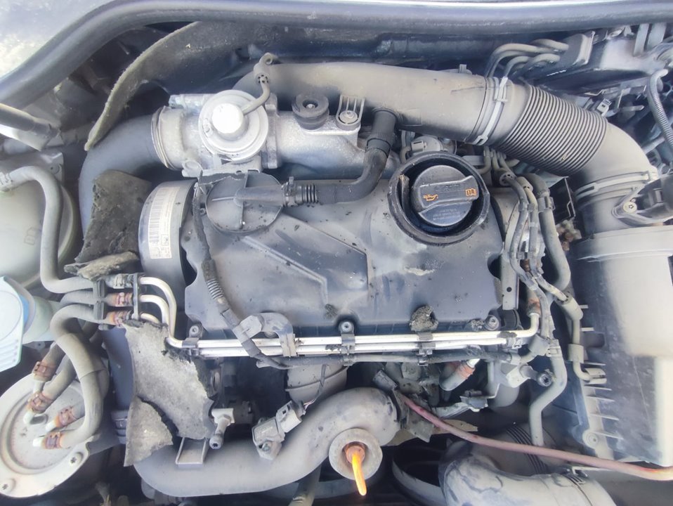 VOLKSWAGEN GOLF V BERLINA (1K1) Highline 4Motion Motor 1,9 Ltr. - 77 kW TDI