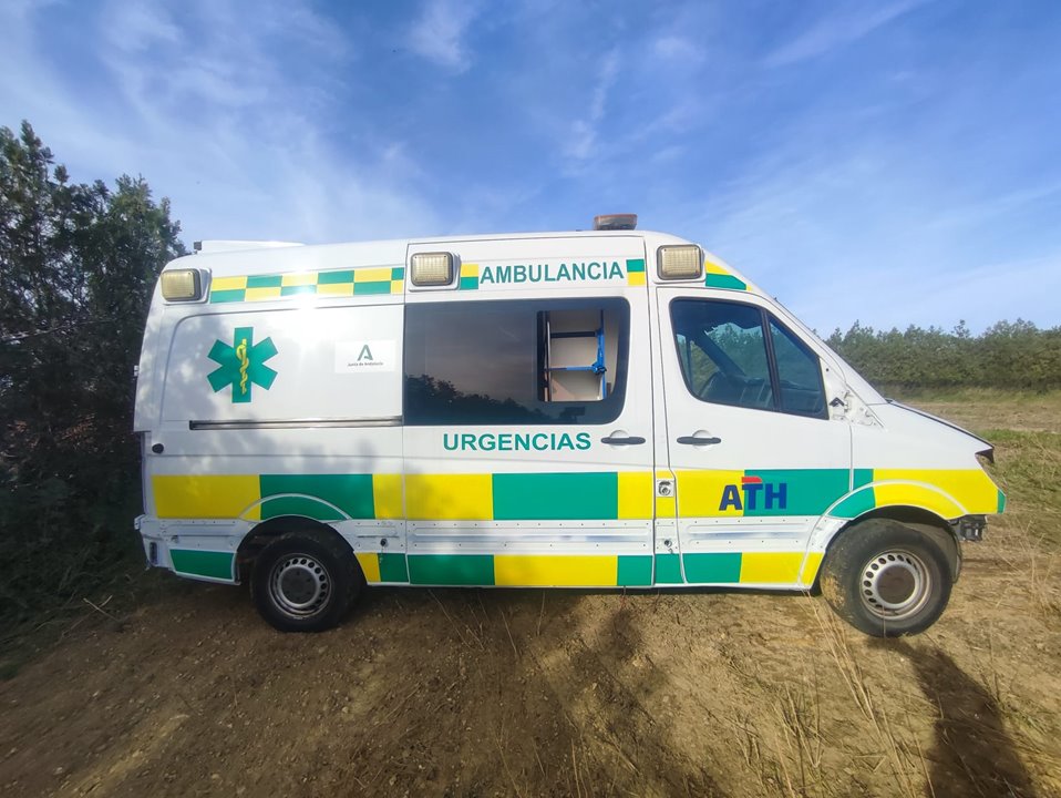 MERCEDES-BENZ SPRINTERII CAJA CERRADA (DESDE 01.06) *