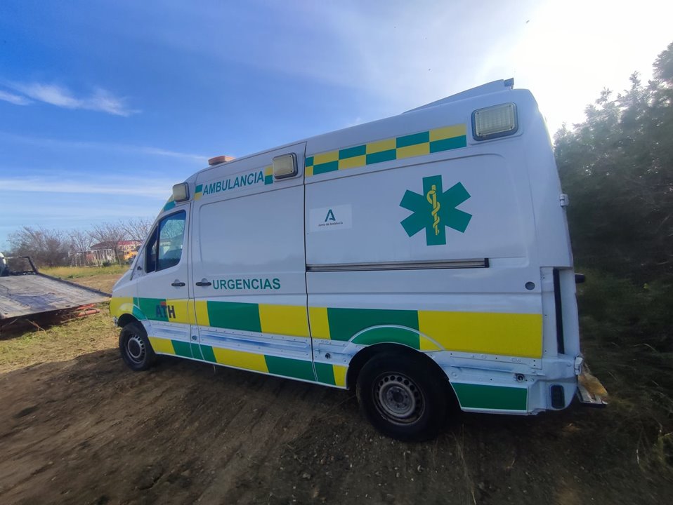 MERCEDES-BENZ SPRINTERII CAJA CERRADA (DESDE 01.06) *