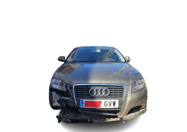 PILOTO INTERIOR TRASERO DERECHO AUDI A3 SPORTBACK (8P) 2.0 TDI Ambiente (DPF)