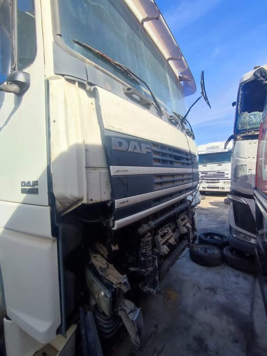 DAF SERIE 95 XF .XXX XF95 480 DXE355C1