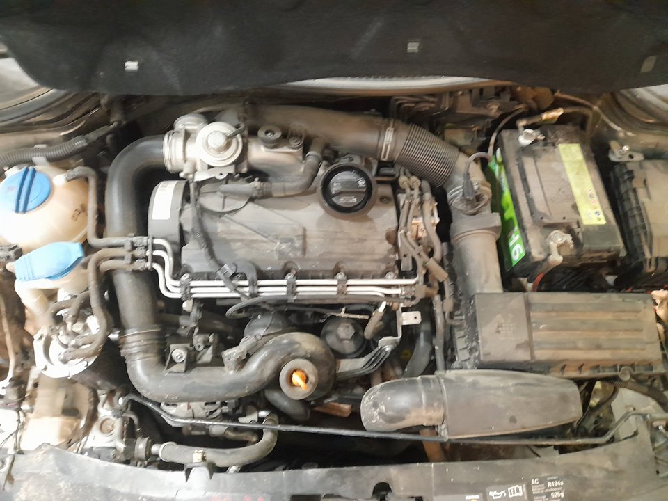 SEAT LEON (1P1) Reference Motor 1,9 Ltr. - 77 kW TDI