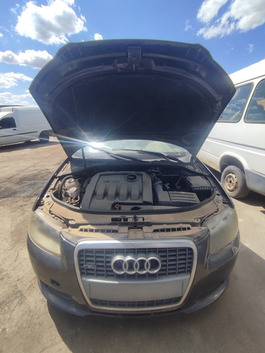 AUDI A3 SPORTBACK (8P) 1.9 TDI e Ambiente Motor 1,9 Ltr. - 77 kW TDI