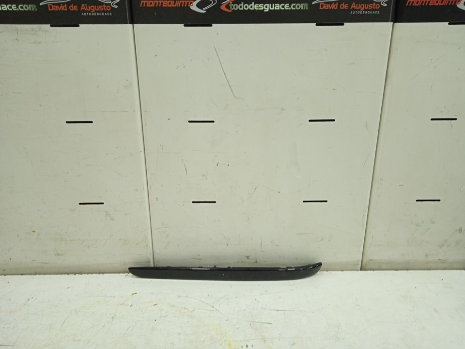 GUARNECIDO PUERTA DELANTERA IZQUIERDA foto 4