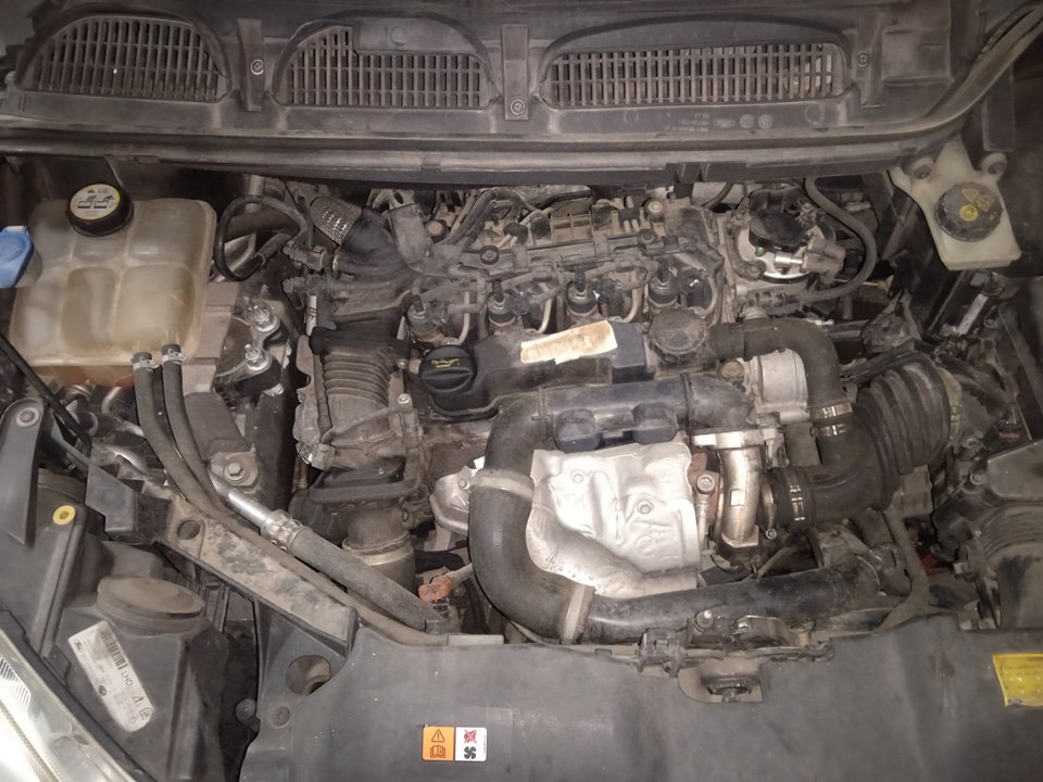 FORD C-MAX (CB3) Business Motor 1,6 Ltr. - 66 kW TDCi CAT