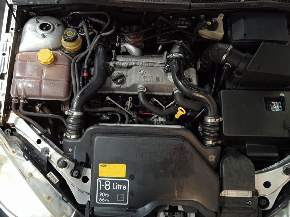 FORD FOCUS BERLINA (CAK) Ghia Motor 1,8 Ltr. - 66 kW TDDI Turbodiesel CAT