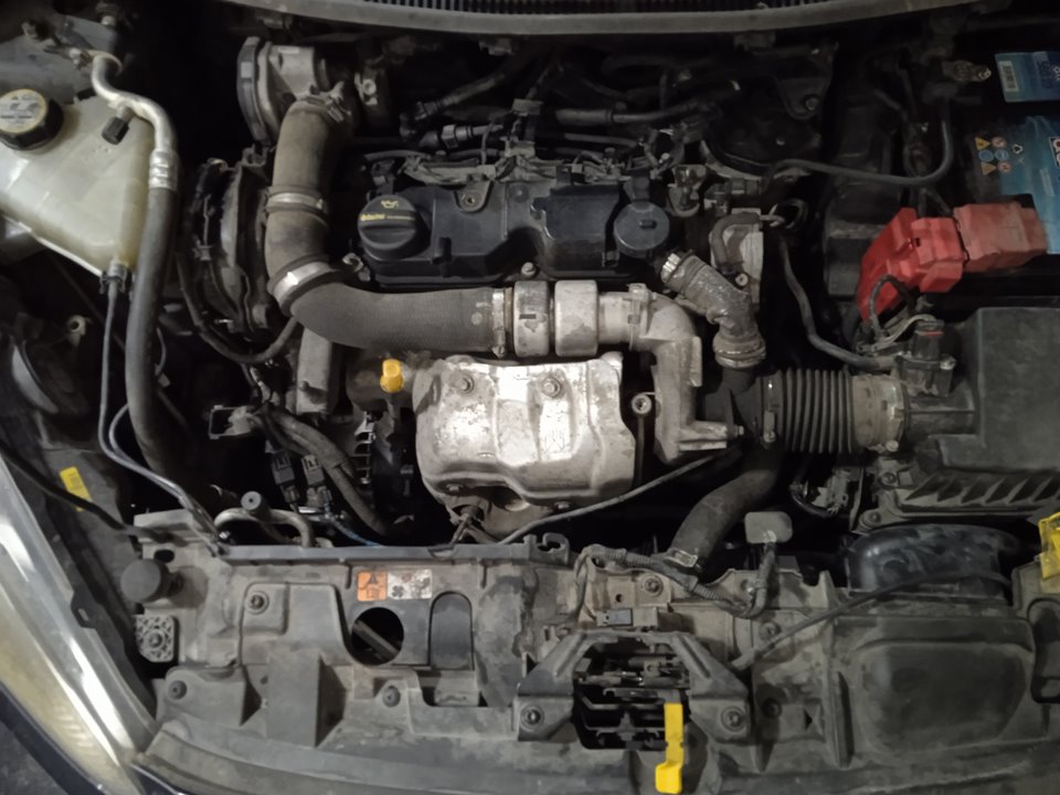 FORD FIESTA (CCN) Trend Motor 1,5 Ltr. - 55 kW TDCi CAT