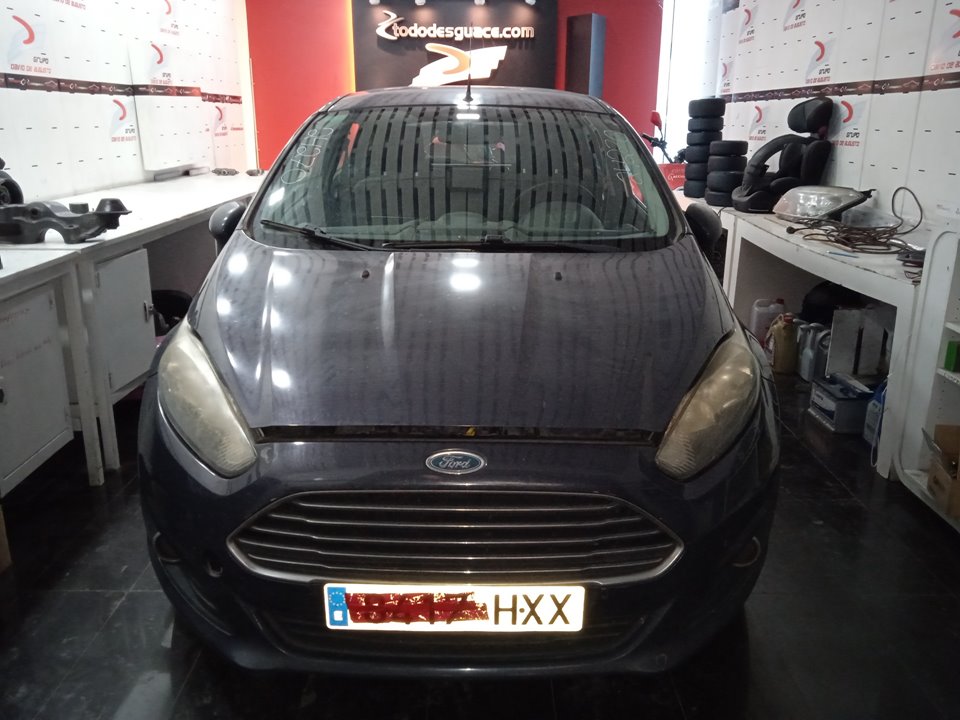 FORD FIESTA (CCN) Trend Motor 1,5 Ltr. - 55 kW TDCi CAT