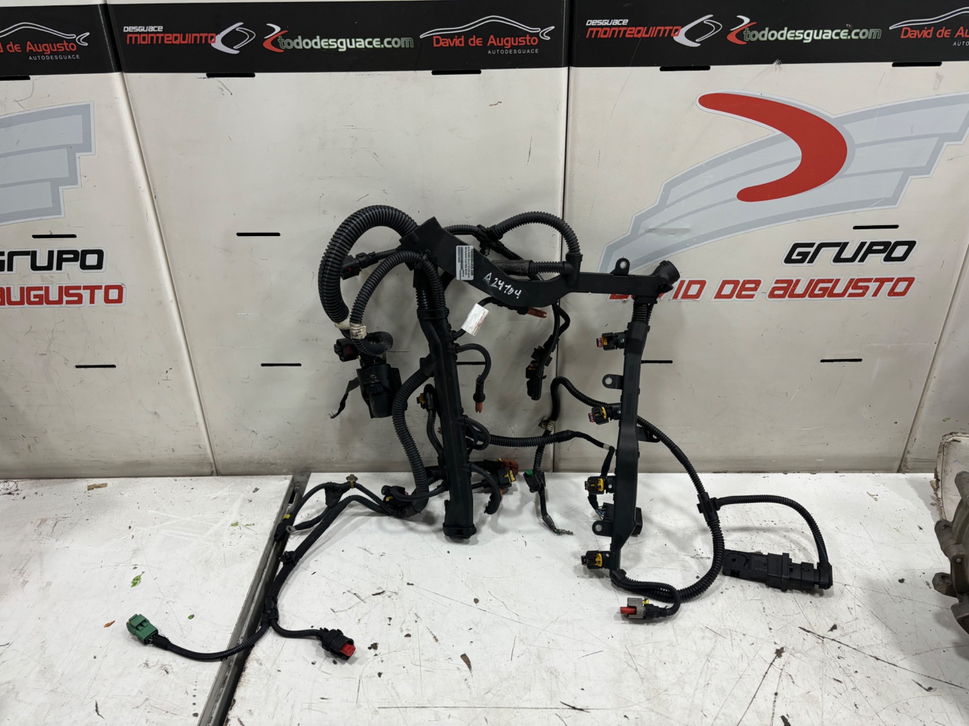 INSTALACION ELECTRICA MOTOR ALFA ROMEO GIULIETTA (191) Sprint