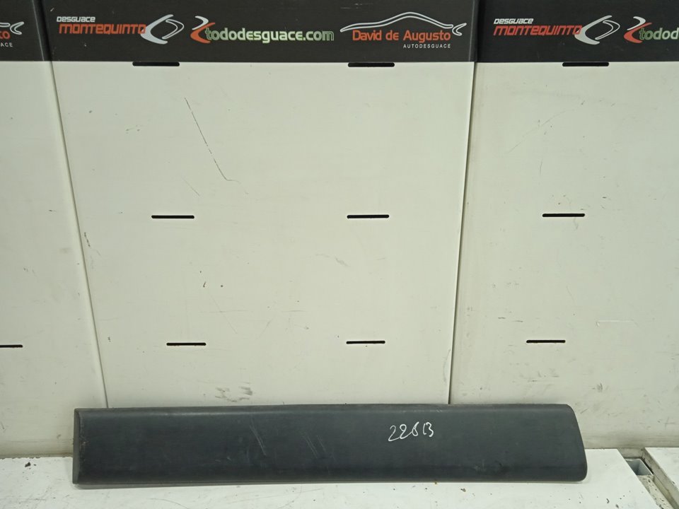 EMBELLECEDOR PUERTA TRASERA DERECHA PEUGEOT PARTNER (S2) Combi Pro   |   11.02 - 12.04