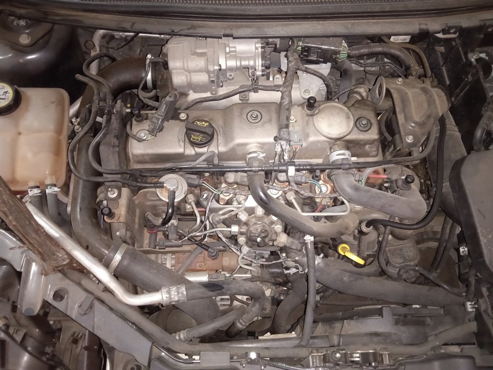 FORD FOCUS BERLINA (CAP) Ambiente (D) Motor 1,8 Ltr. - 85 kW TDCi Turbodiesel CAT