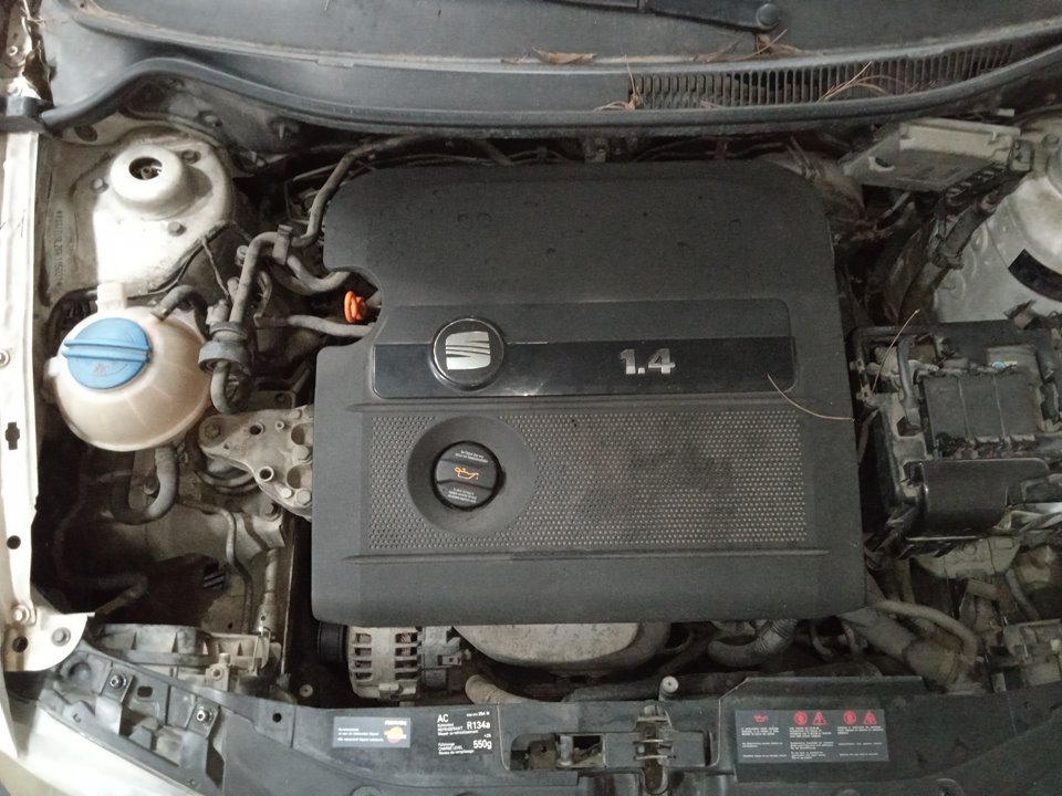 SEAT IBIZA (6L1) Cool Motor 1,4 Ltr. - 55 kW 16V