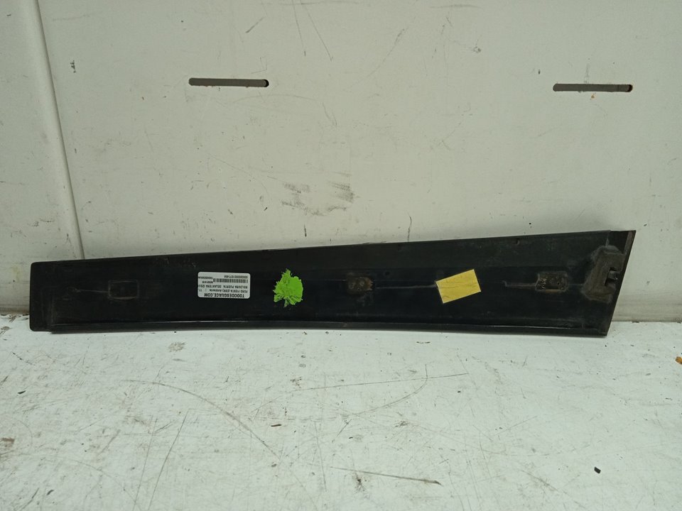 MOLDURA PUERTA  DELANTERA IZQUIERDA FORD FIESTA (CBK) Ambiente   |   11.01 - 12.08