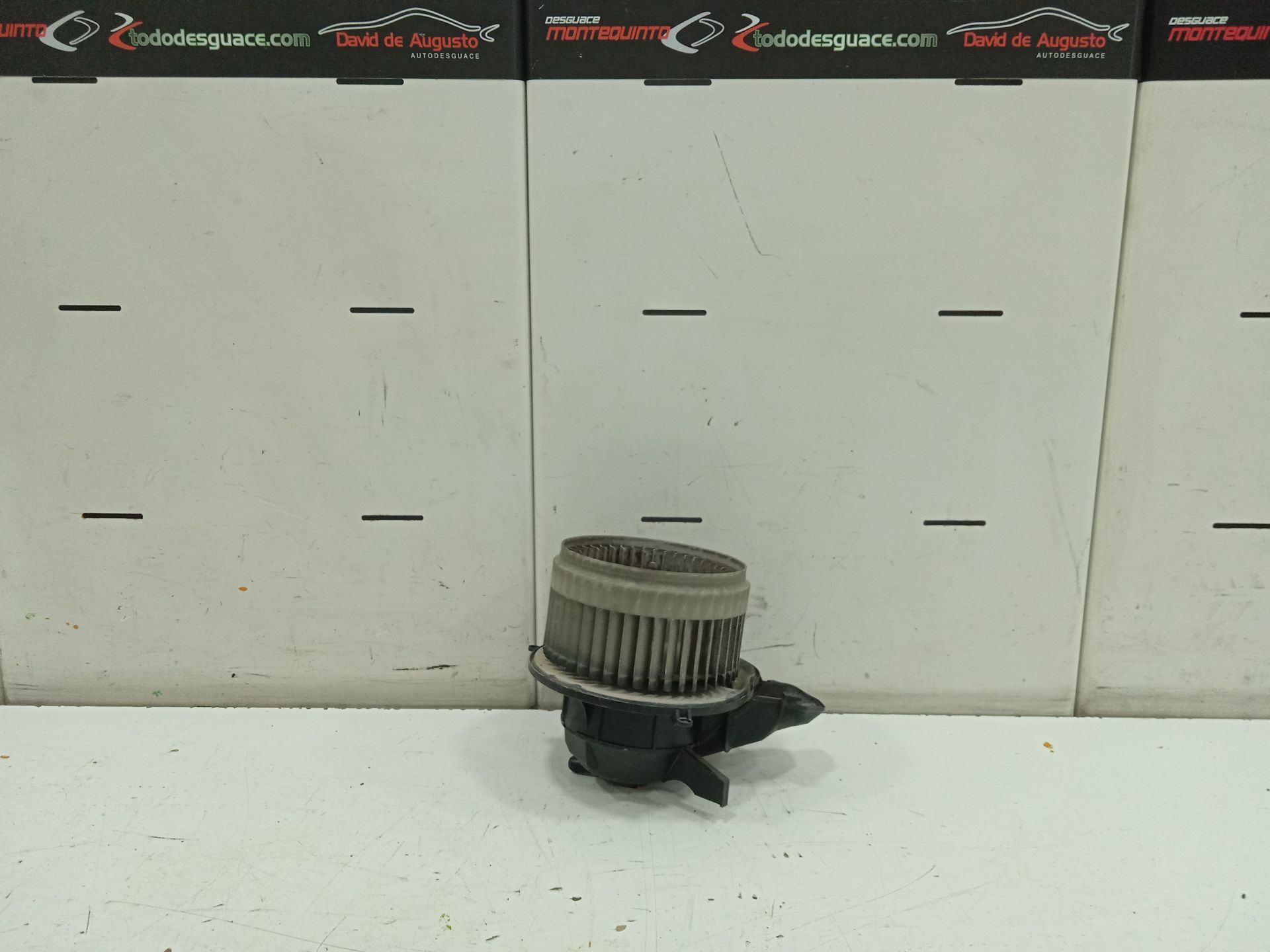 MOTOR CALEFACCION