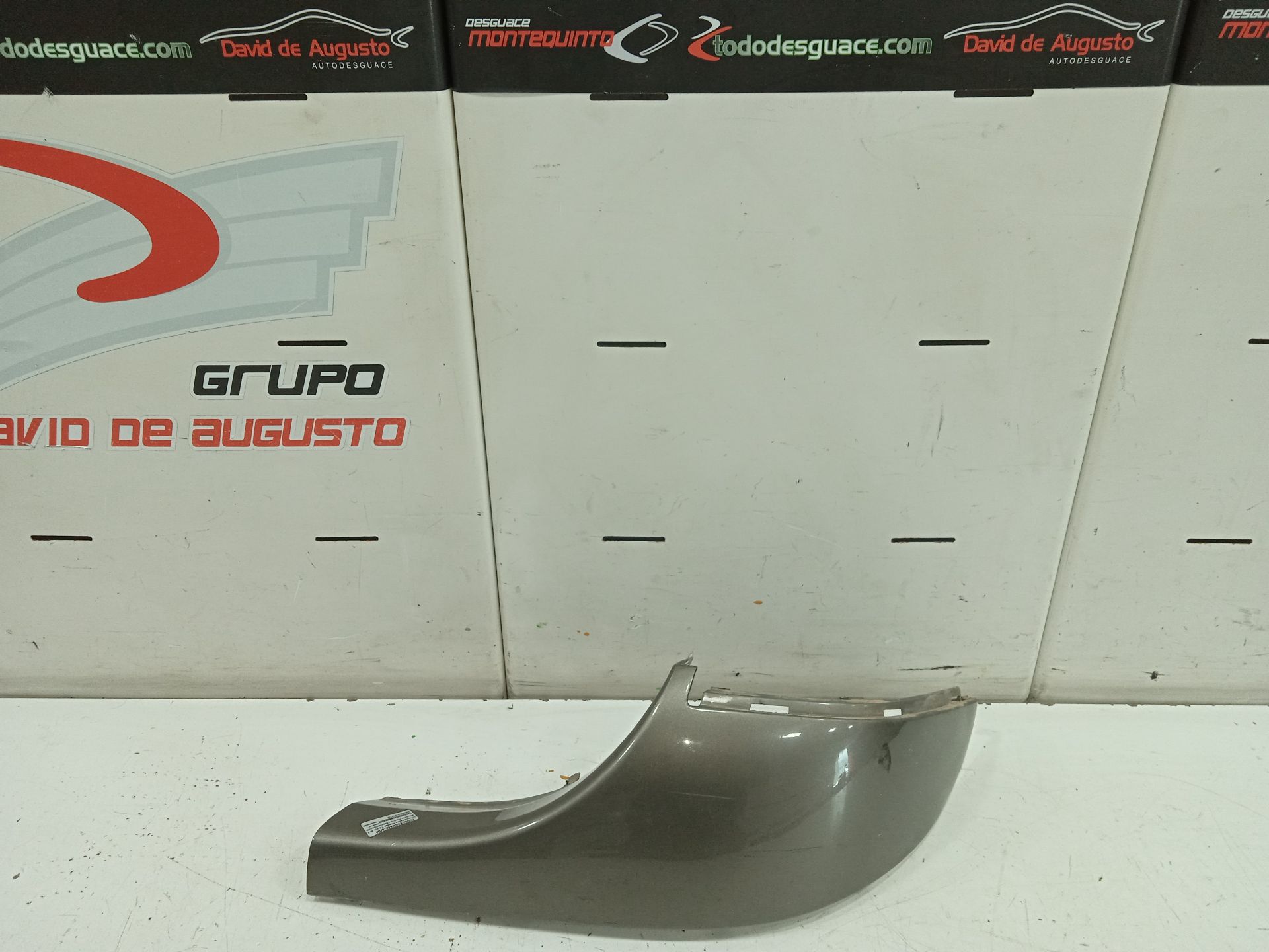 MOLDURA PUERTA TRASERAIZQUIERDA CITROEN XSARA PICASSO 1.6 HDi 90 Exclusive   |   01.06 - 12.11