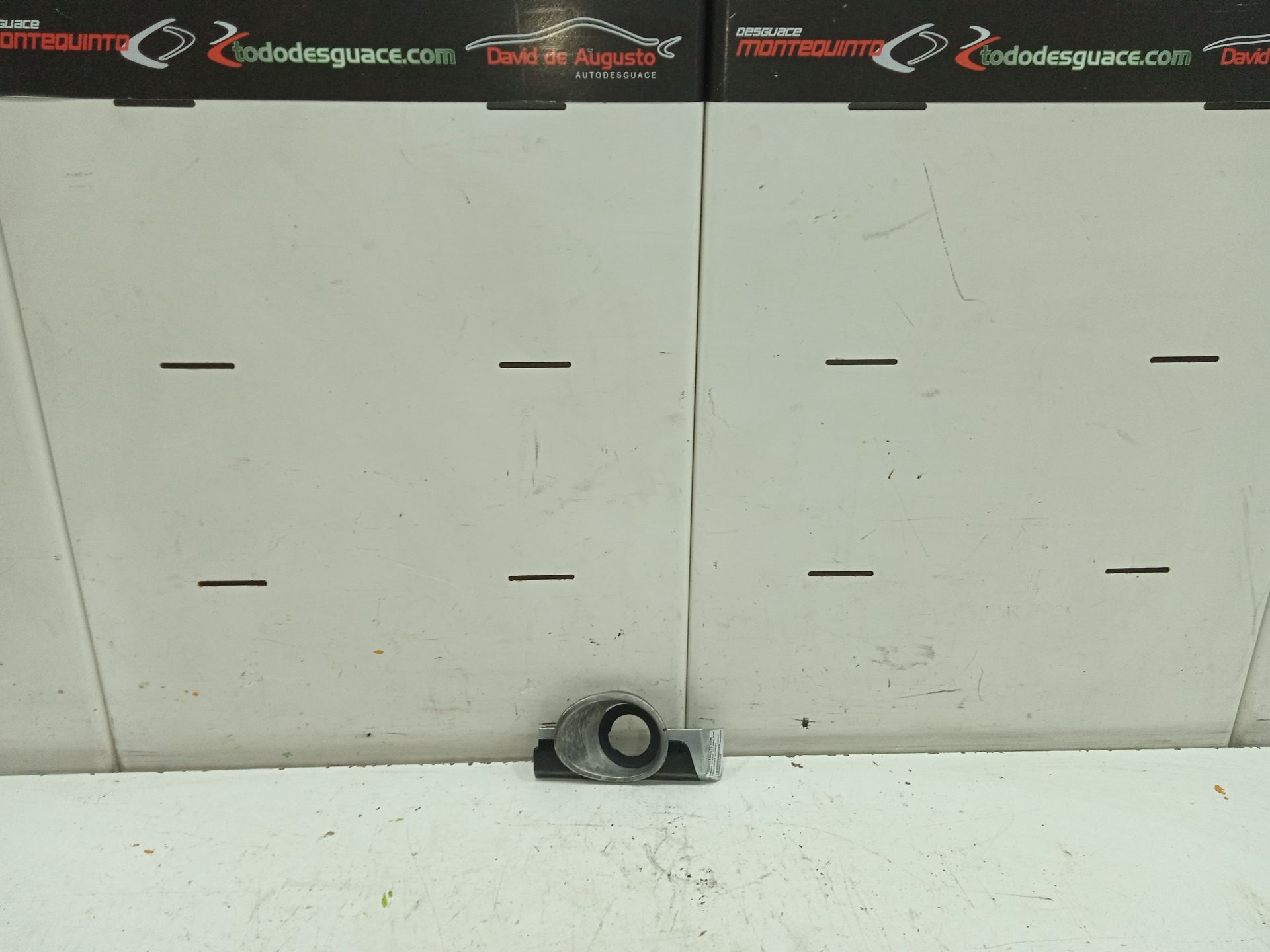 EMBELLECEDOR ANTIRROBO PORSCHE CAYENNE (TYP 92AA) Diesel