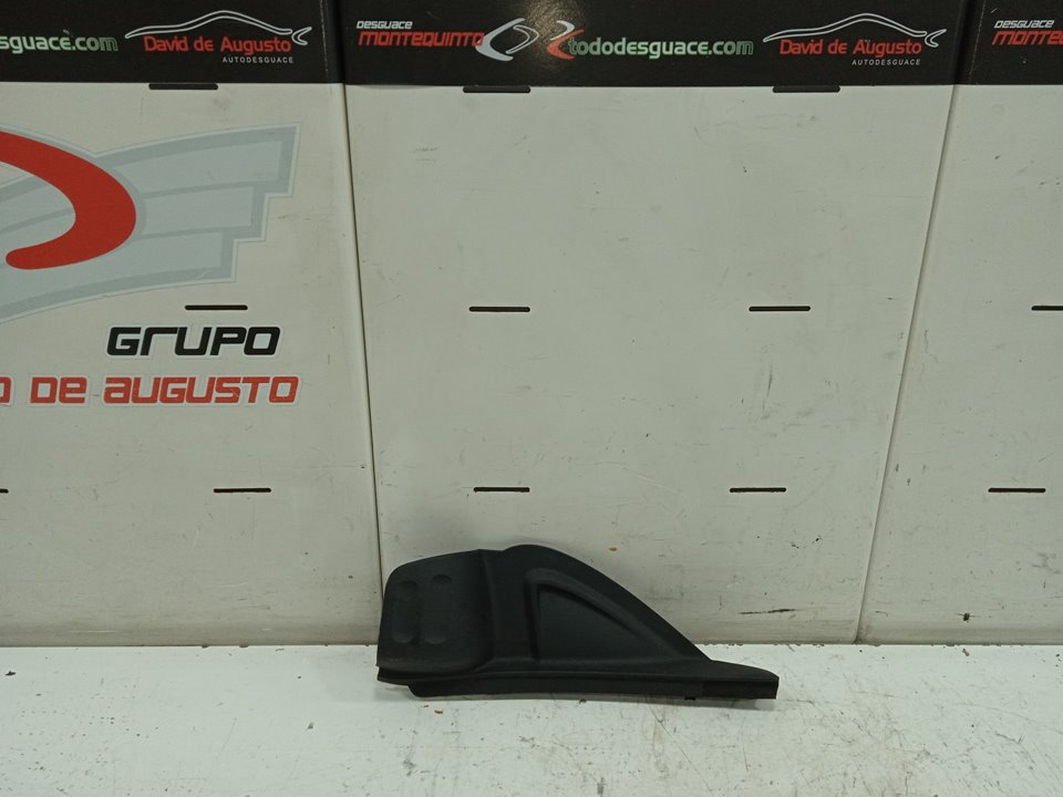 MOLDURA PUERTA  DELANTERA DERECHA CITROEN C3 Exclusive   |   09.09 - 12.16