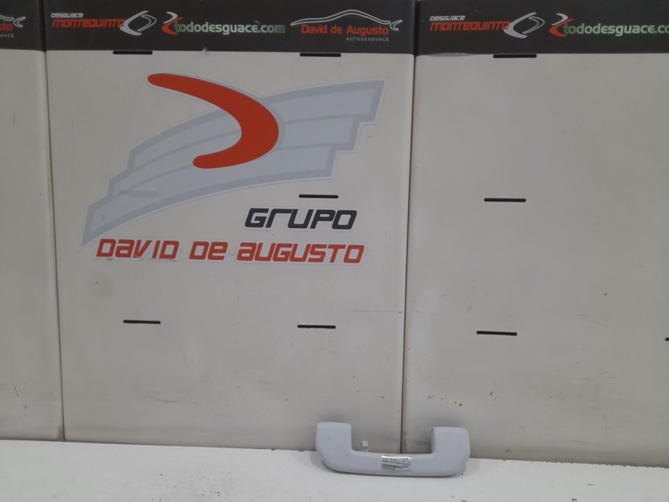 ASIDERO TECHO TRASERO IZQUIERDO