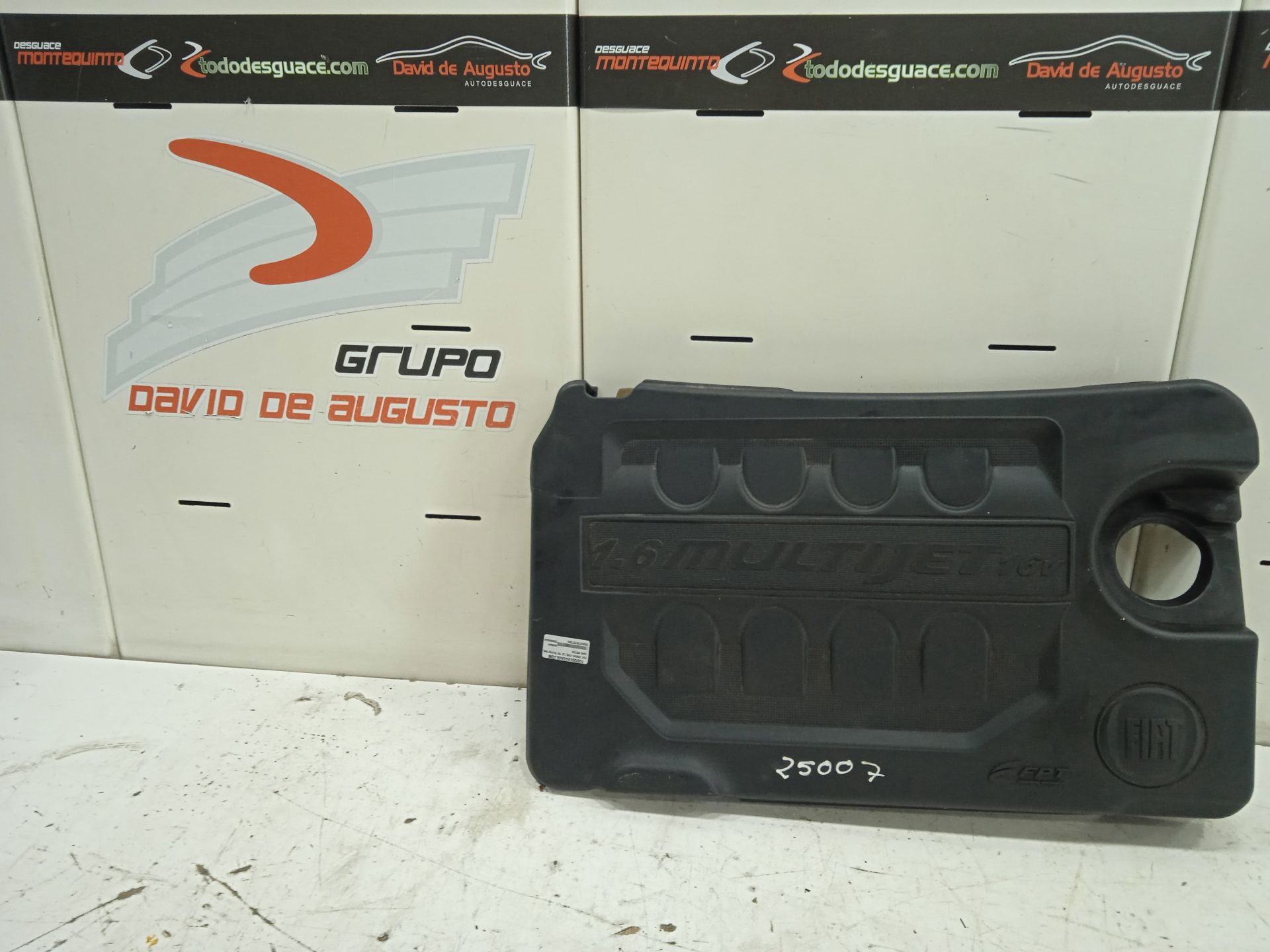 TAPA MOTOR FIAT BRAVO (198) 1.6 16V Multijet Easy (77kW)