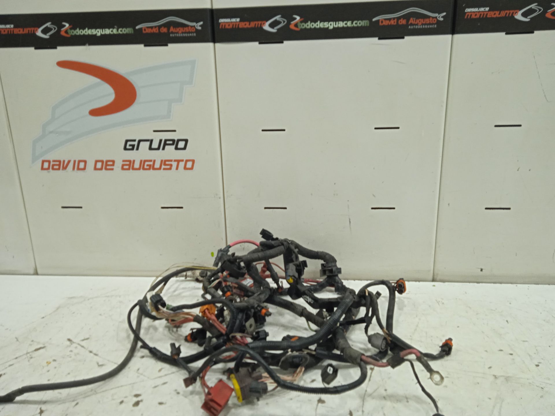 INSTALACION MOTOR RENAULT SCENIC II Dynamique   |   10.06 - 12.09