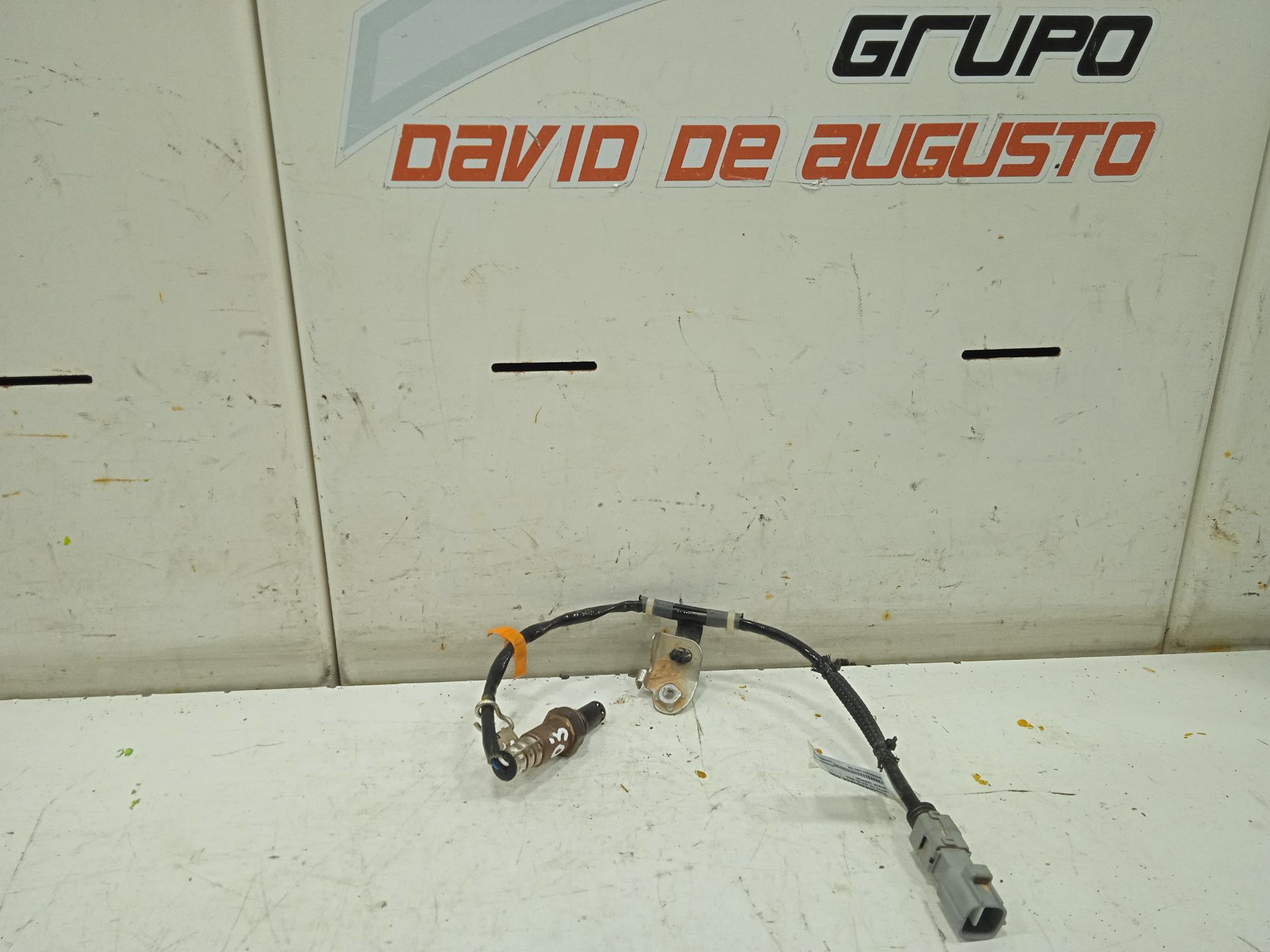SONDA LAMBDA foto 3