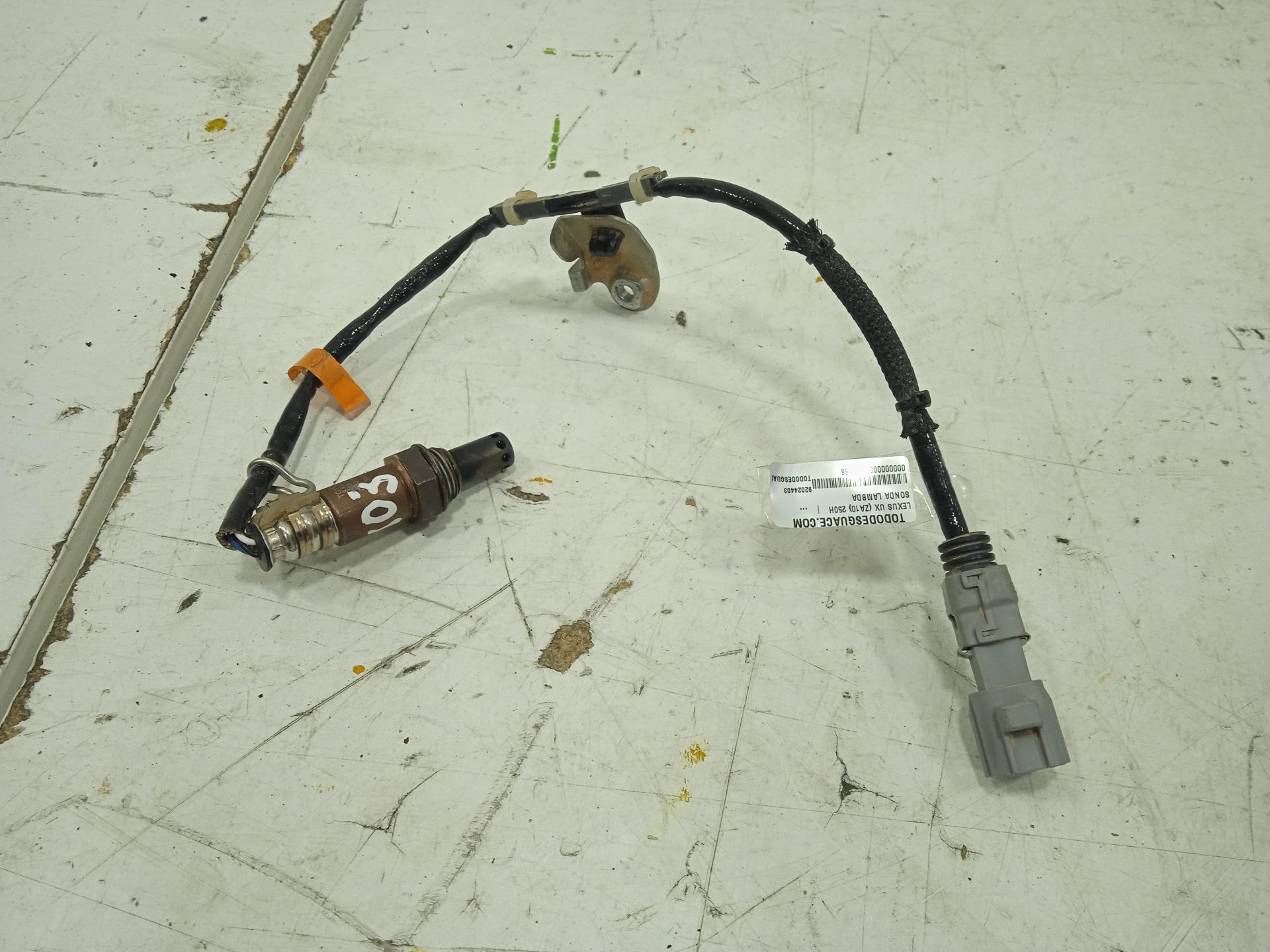 SONDA LAMBDA foto 4