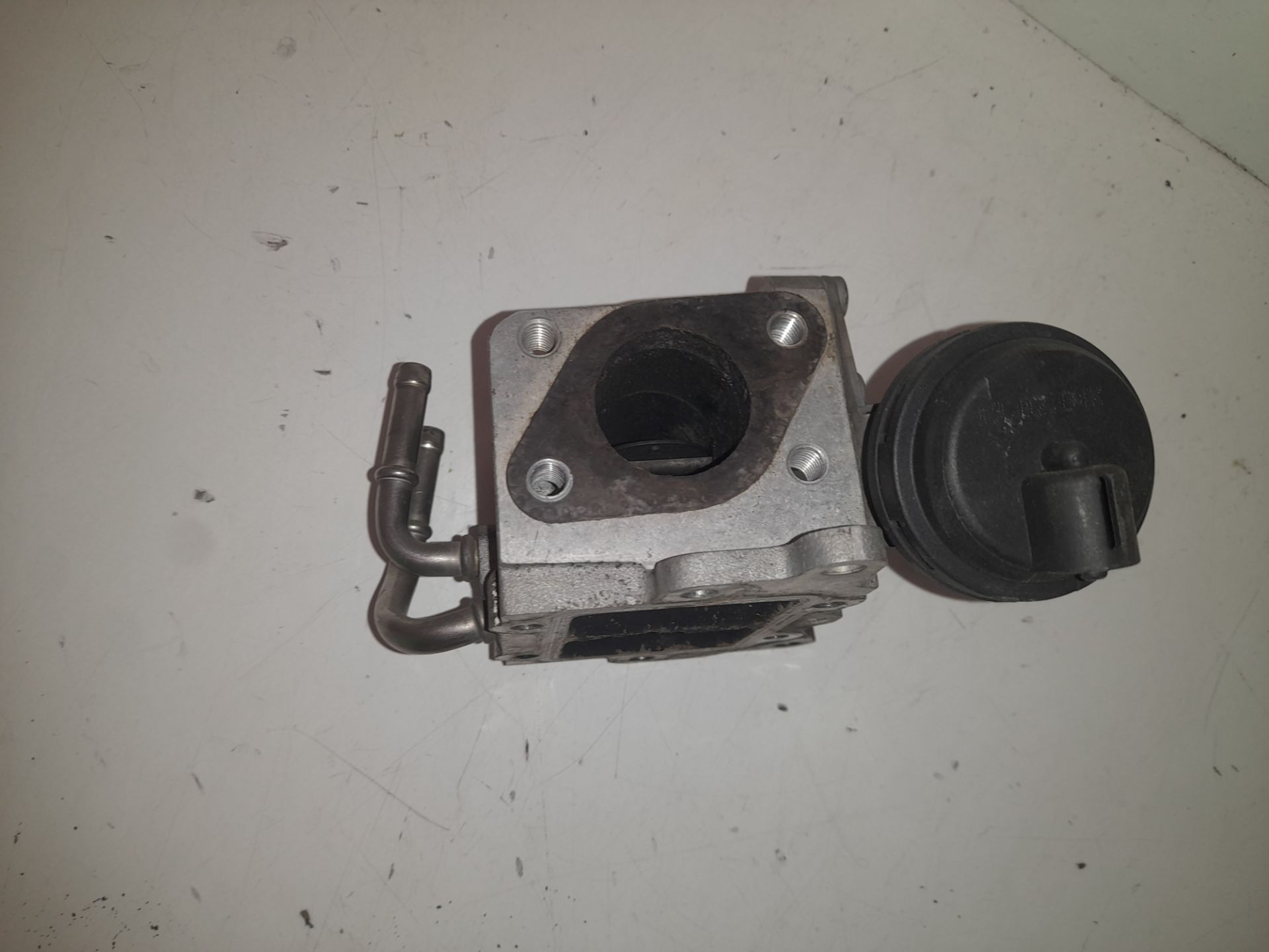 VALVULA EGR SEAT LEON (1P1) Comfort Limited