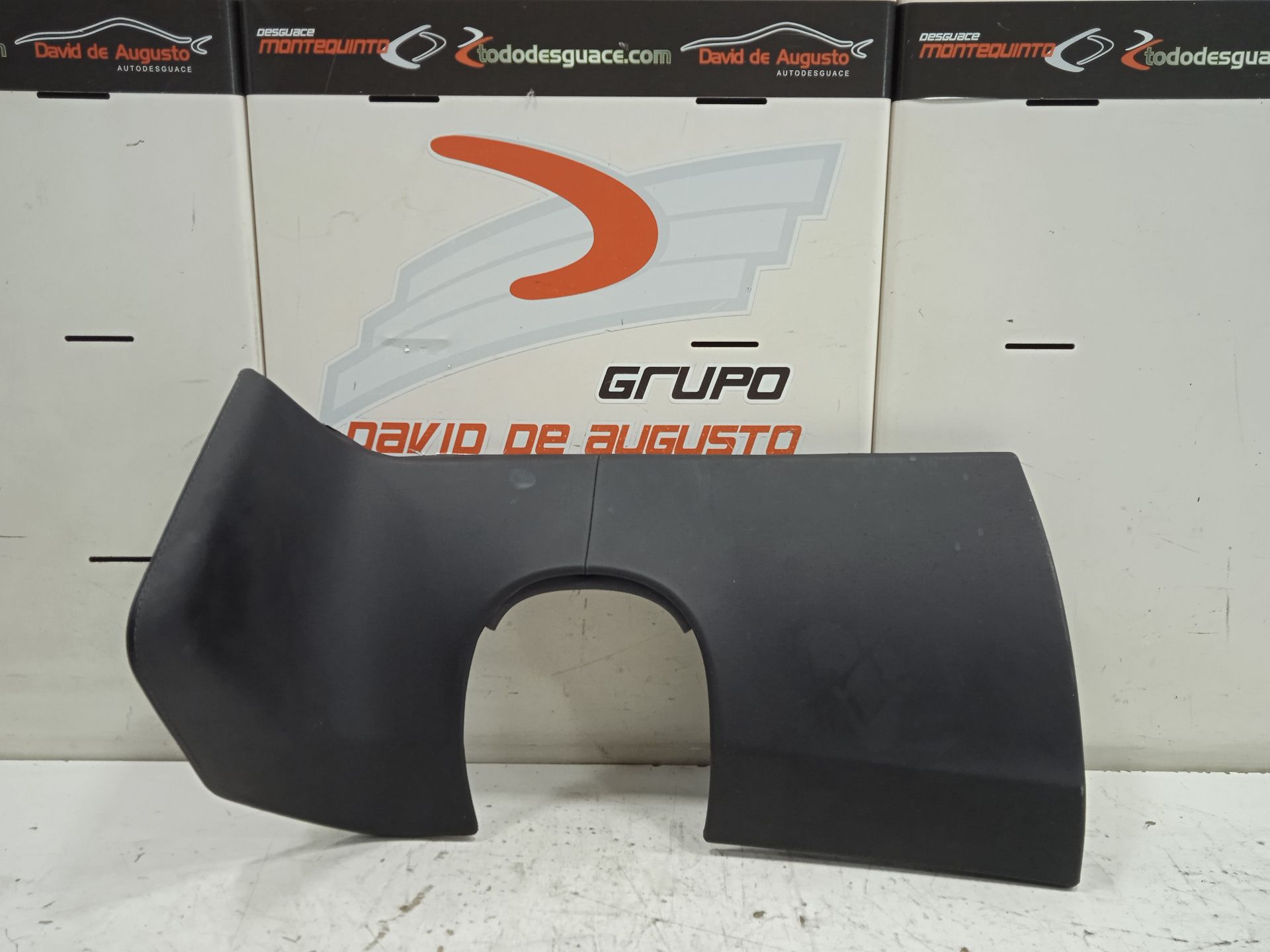 MOLDURA SALPICADERO TESLA MODEL S Basis