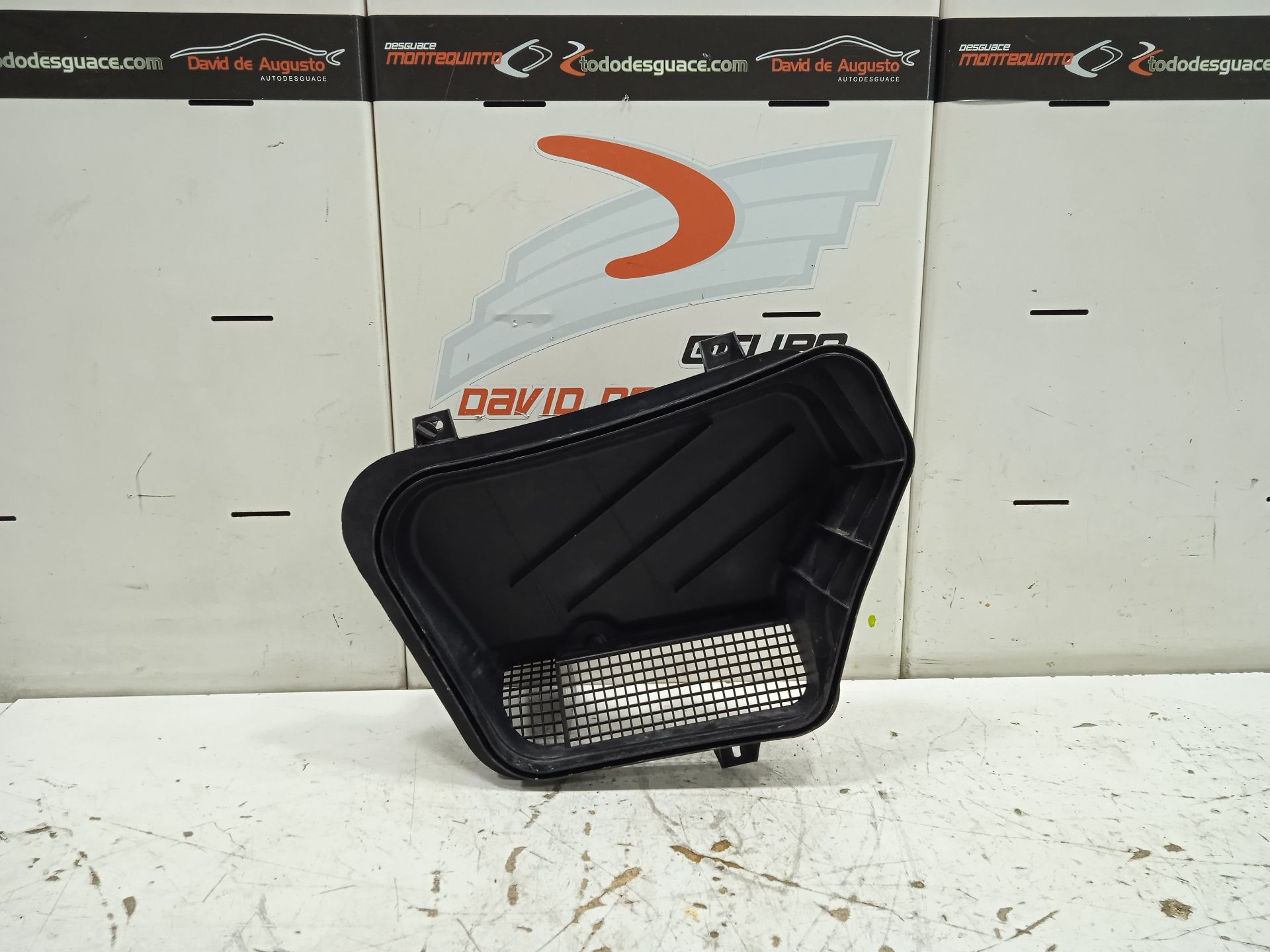 TAPA CAJA FILTRO AIRE MERCEDES-BENZ CLASE SLK (W172) ROADSTER SLK 250 CDI BlueEFFICIENCY (172.403)
