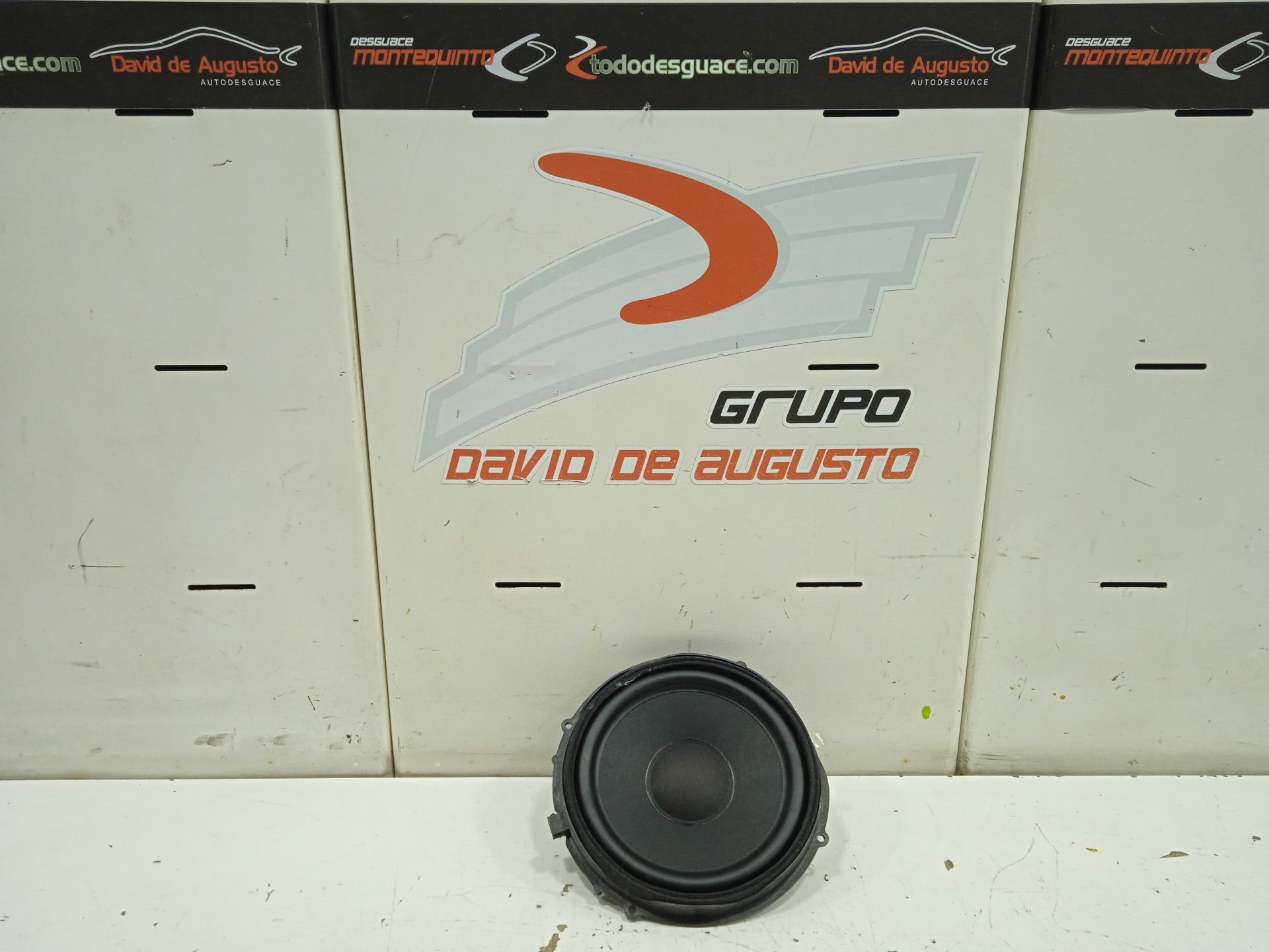 ALTAVOZ DELANTERO DERECHO TESLA MODEL S Basis