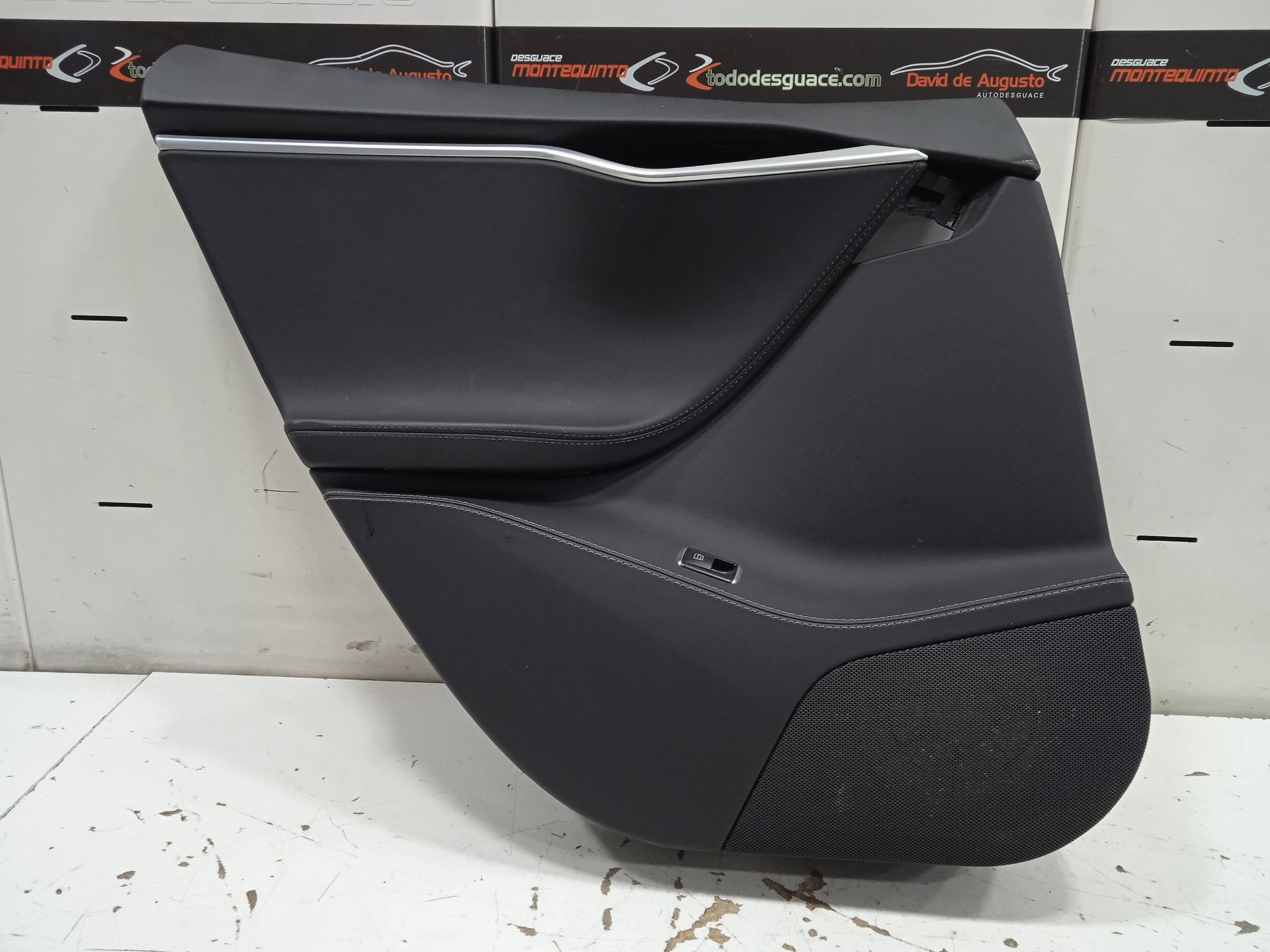 PAÑO PUERTA TRASERO IZQUIERDO TESLA MODEL S Basis