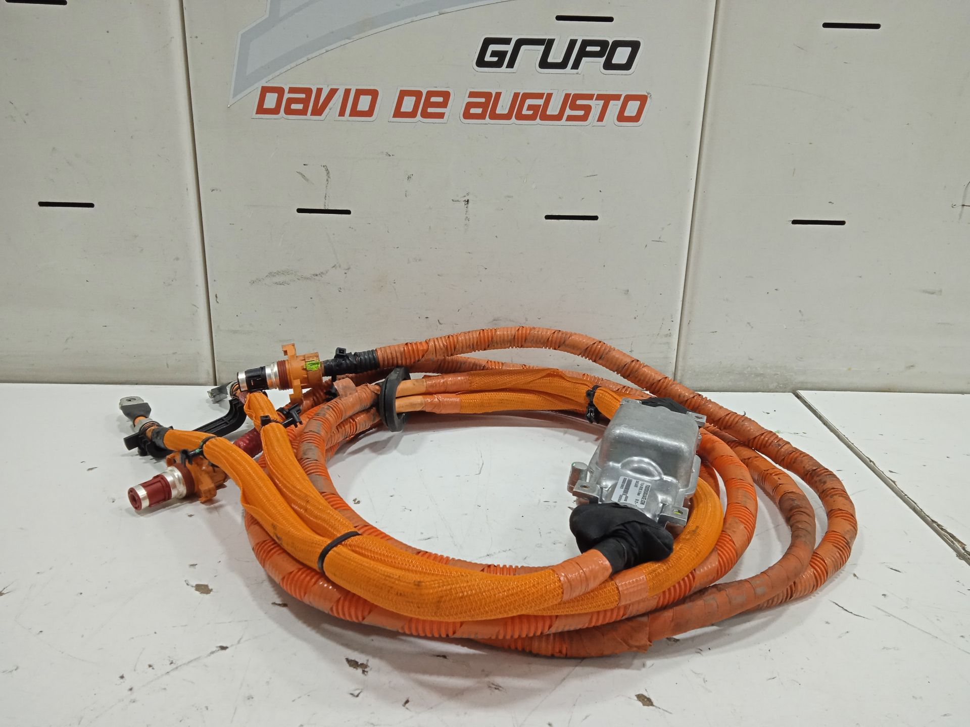 CABLEADO TESLA MODEL S Basis